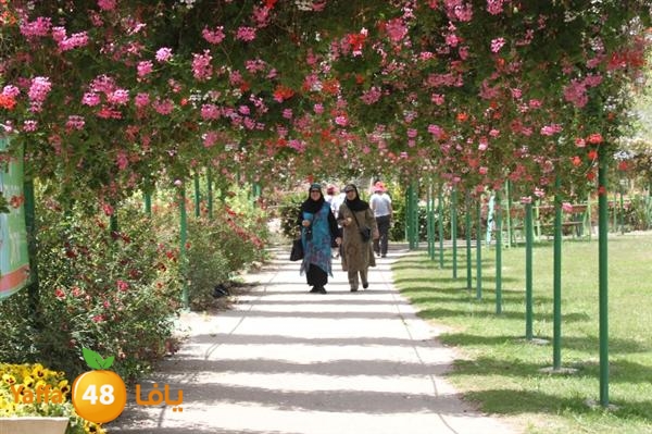 re7la mo2asaasa 0521 (14).JPG